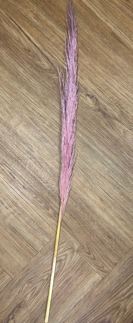 Pampas grass 100cm - pink
