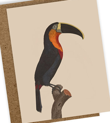 Poster - Animals Din A3