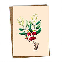 Greeting card - Din A6