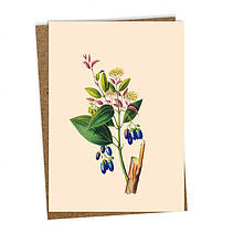 Greeting card - Din A6