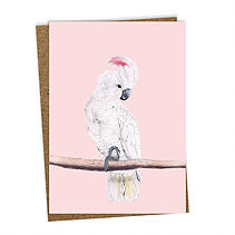 Poster - Animals Din A3