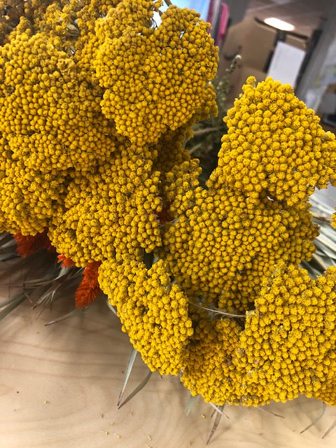 Archillea Parker Natural Gold Sheaf