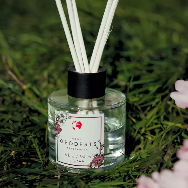 Raumduft Reed Diffuser - Balsam Fir