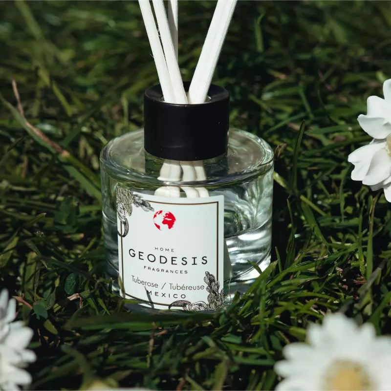 Raumduft Reed Diffuser - Tuberose