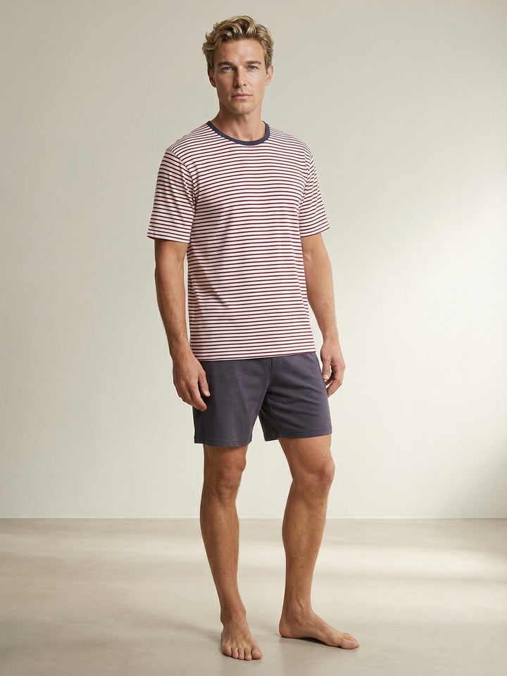 bordeaux Otto / Web