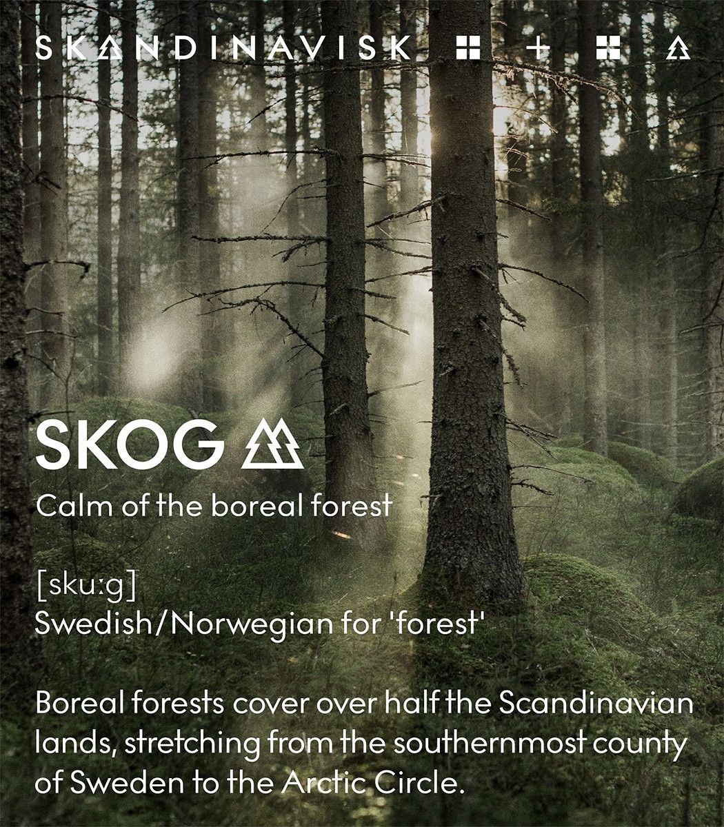 SKANDINAVISK SKOG Duftdiffuser 200ml – Waldduft, vegan