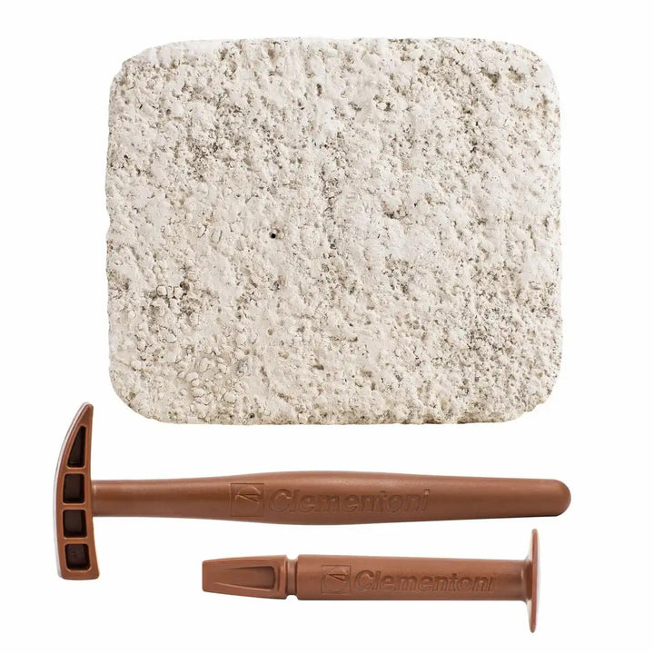 Galileo Stones &amp; Minerals Excavation Set