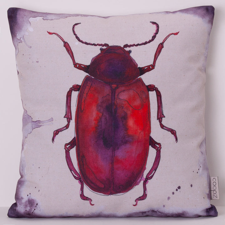 Cushion Strawberry sap beetle