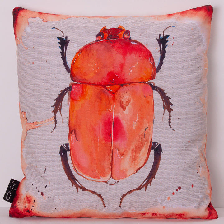 Cushion garden beetle red