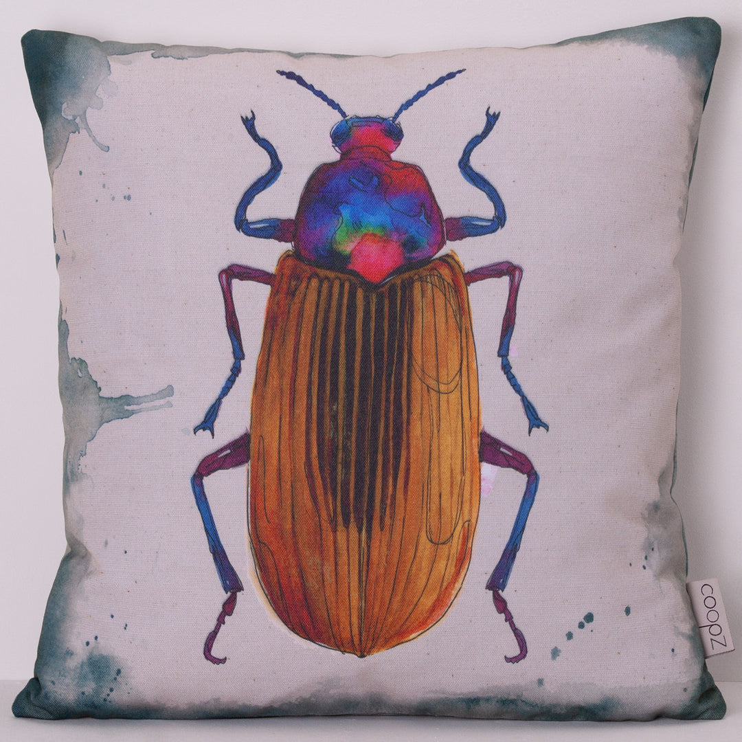 Cushion beetle