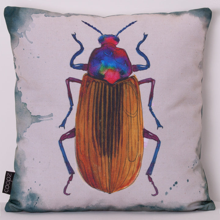 Cushion beetle