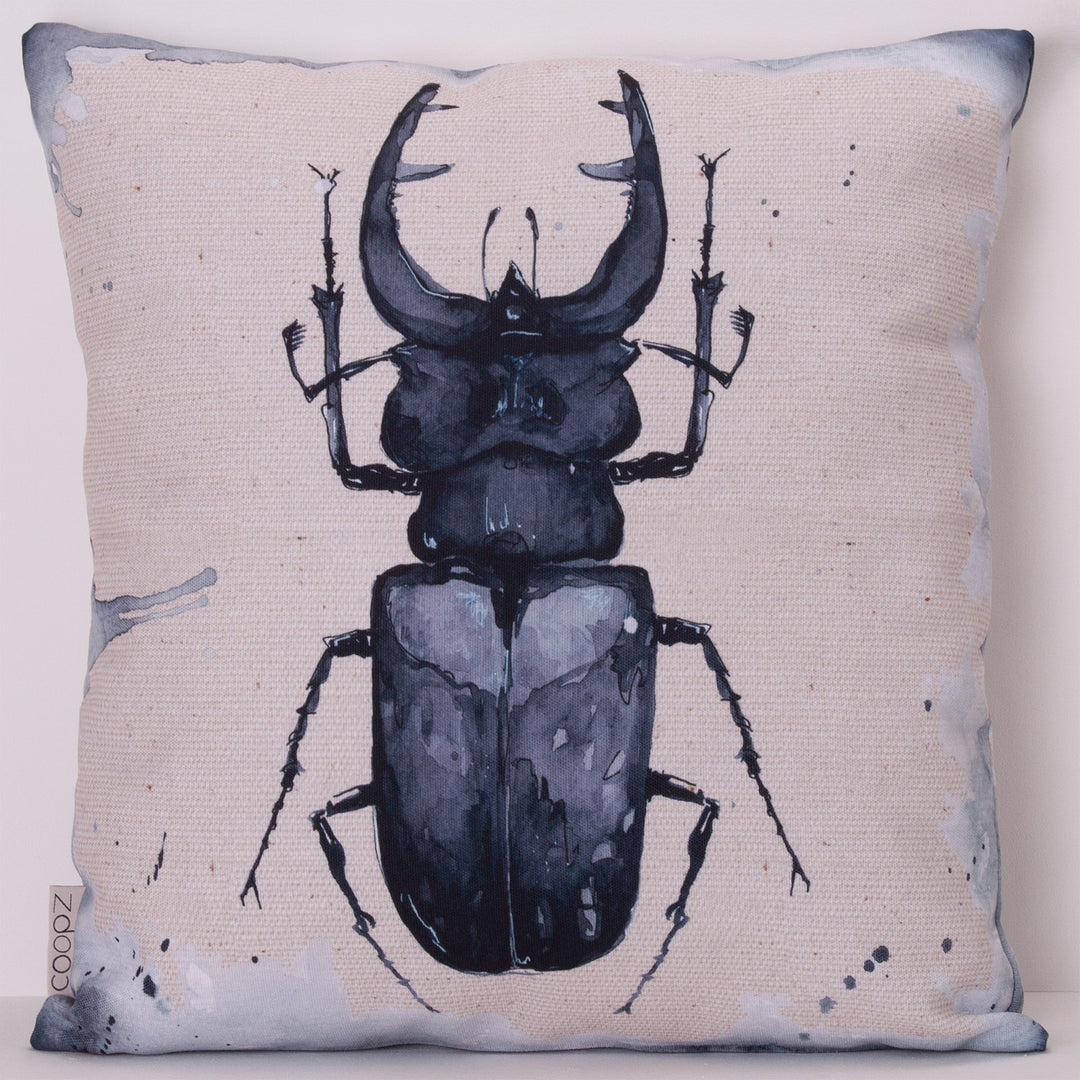 Cushion Stag Beetle Black