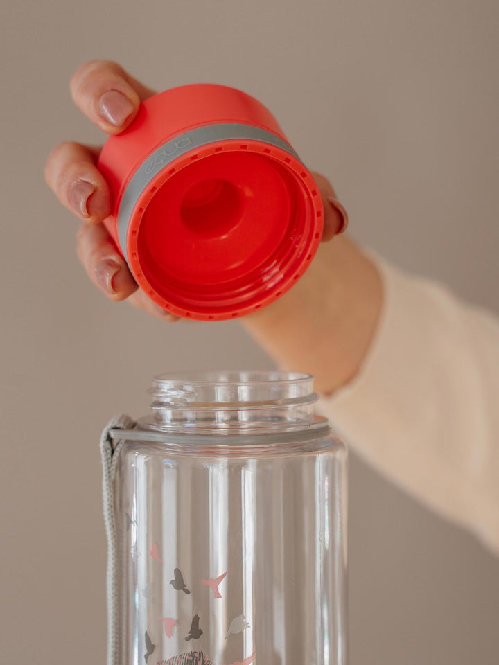 BPA free plastic bottles