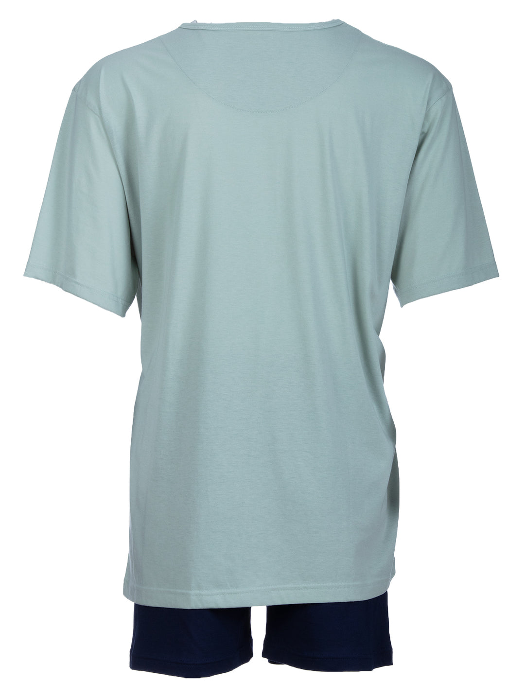 iceberg green 