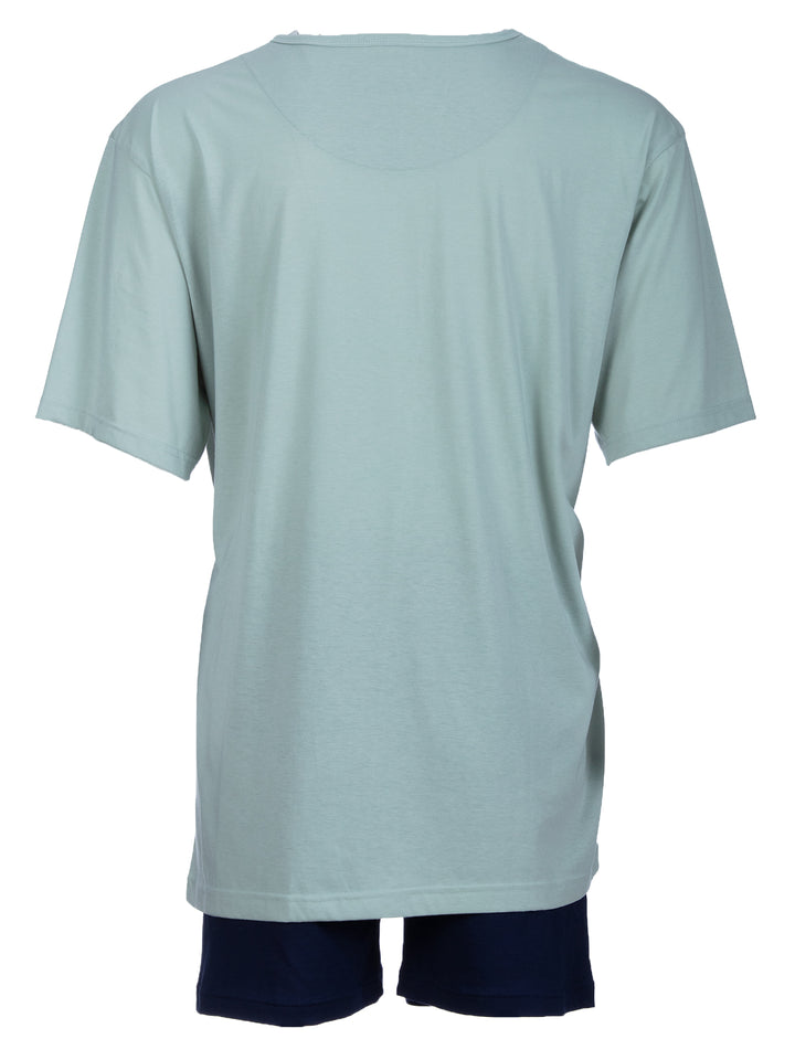 iceberg green 