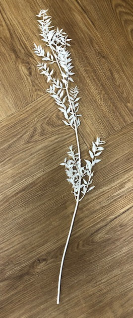Ruscus Bleached